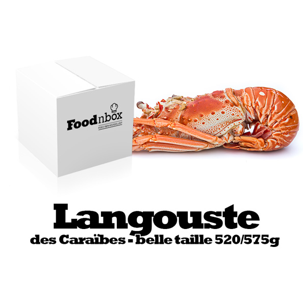 Poids D Une Langouste Langouste Royale Cuite Ou Vivante Livrées à Domicile